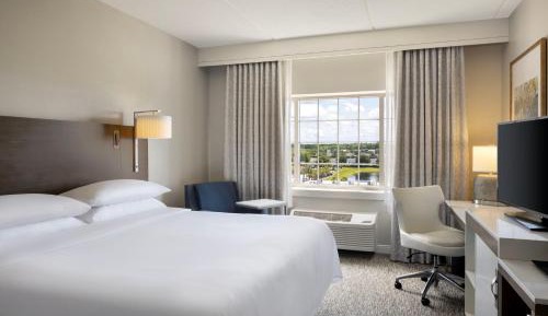 Traditional, Guest room, 1 King