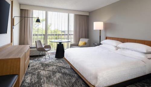 Traditional, Guest room, 1 King