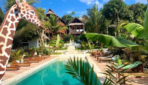 Double Room with Pool View