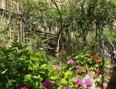 Cottage with Garden View