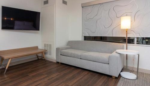 Studio, 2 Queen, Sofa bed