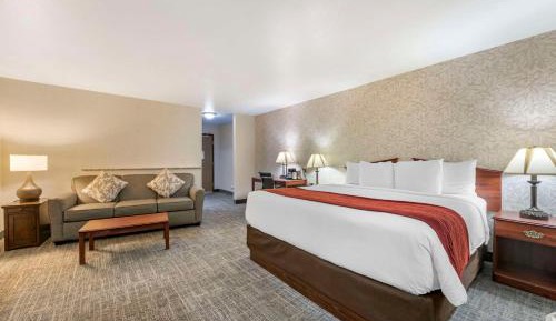 Large King Room - Non-Smoking