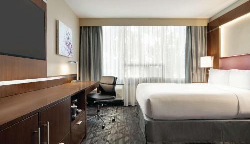 Queen Room with Roll-In Shower - Mobility and Hearing Access