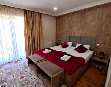 Double Room with Mountain View
