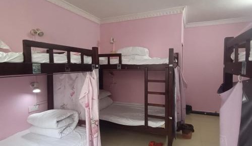 Bed in 6-Bed Dormitory Room