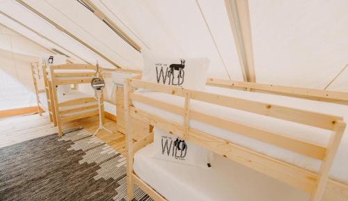 Tent (A)
