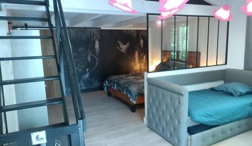 Comfort Suite