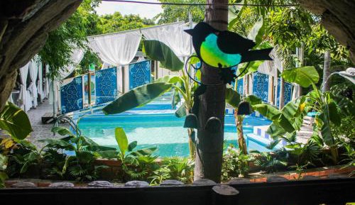 Triple Room with Pool View