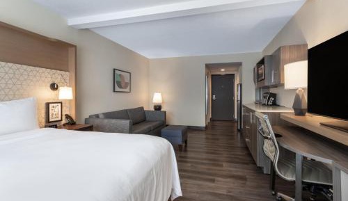 King Suite with Sofa Bed