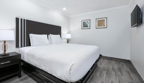 King Suite with Pool View - Interior Suite/Non-Smoking