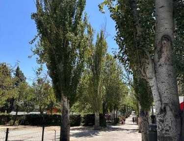 Empty Lot