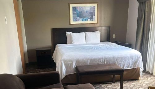 One-Bedroom King Suite - Non-Smoking