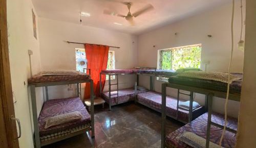 Bed in 4-Bed Female Dormitory Room