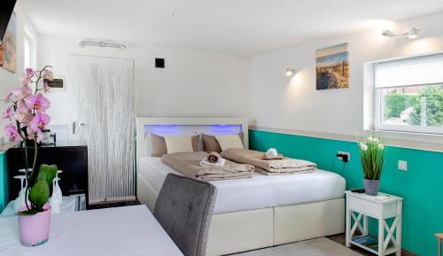 Superior One-Bedroom Apartment