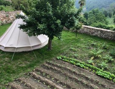Tent