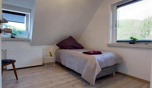 Budget Single Room