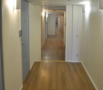 Triple Room without Window