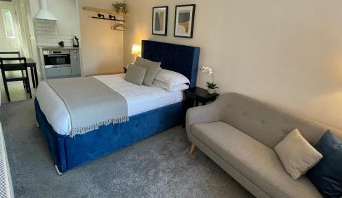 Deluxe Studio