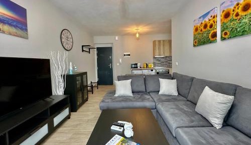 Superior One-Bedroom Apartment