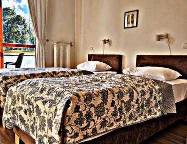 Double Room with Wellness Access