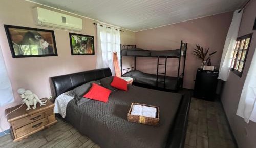 Basic Double Room