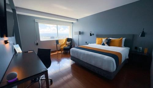 Deluxe Junior Suite