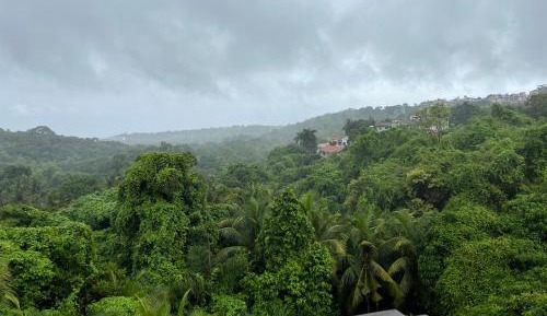 Double Room with Mountain View