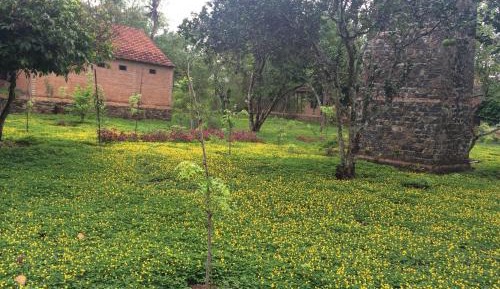 Standard Double Room with Garden View