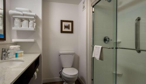 King Room with Shower - Non-Smoking