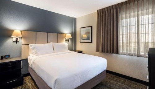 One-Bedroom Queen Suite