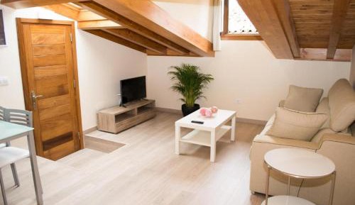 Penthouse Apartment