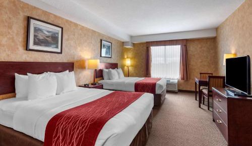 Queen Room with Two Queen Beds