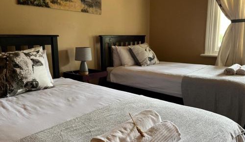 Comfort Twin Room