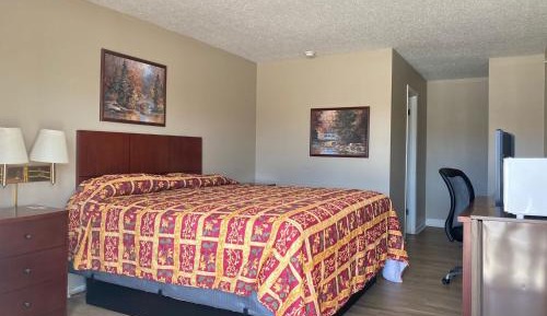 Economy Single Room
