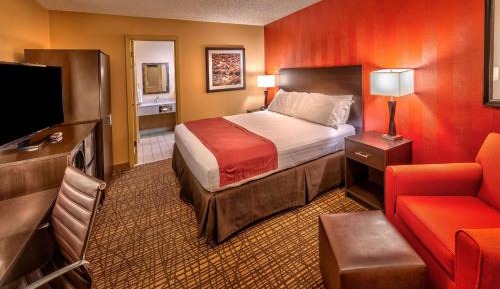 King Room with Walk-In Shower - Disability Access