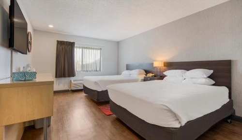 Queen Room with Two Queen Beds