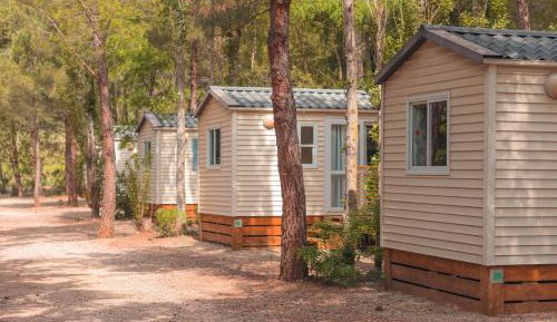 Mobile Home