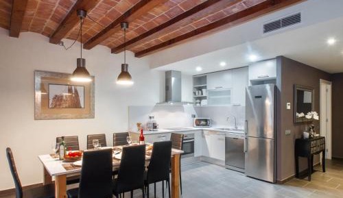 Luxury Three-Bedroom Apartment - Aribau 66