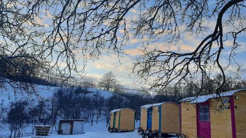 Mobile Home