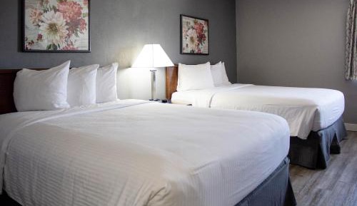 Queen Room with Two Queen Beds - Non-Smoking