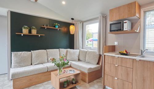 Mobile Home