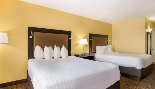 Queen Room with Two Queen Beds - Disability Access/Non-Smoking
