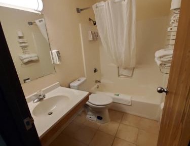 Standard Suite