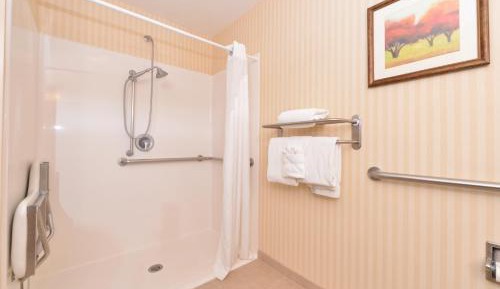 Suite - Mobility Access Roll in Shower/Non-Smoking