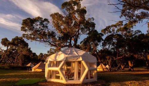 Tent