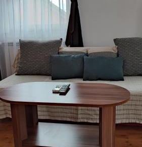 One-Bedroom Apartment with Sofa Bed
