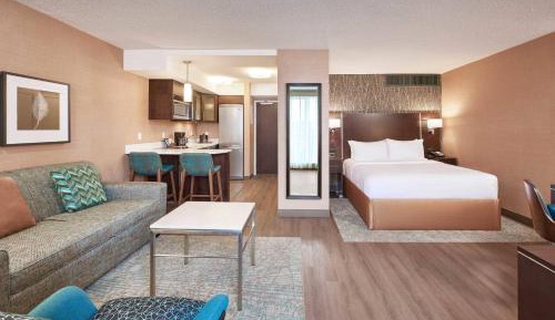 Studio Suite, 1 Queen Bed, 1 Sofa Bed