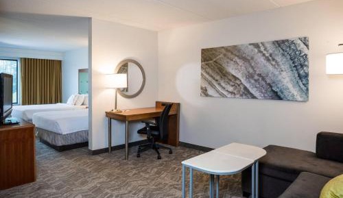 Double Suite with Sofa Bed