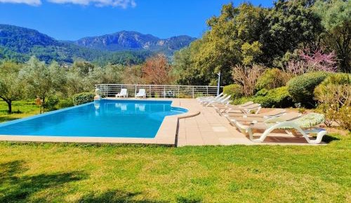 Deluxe Villa