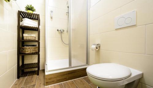 Apartment with Shower 1